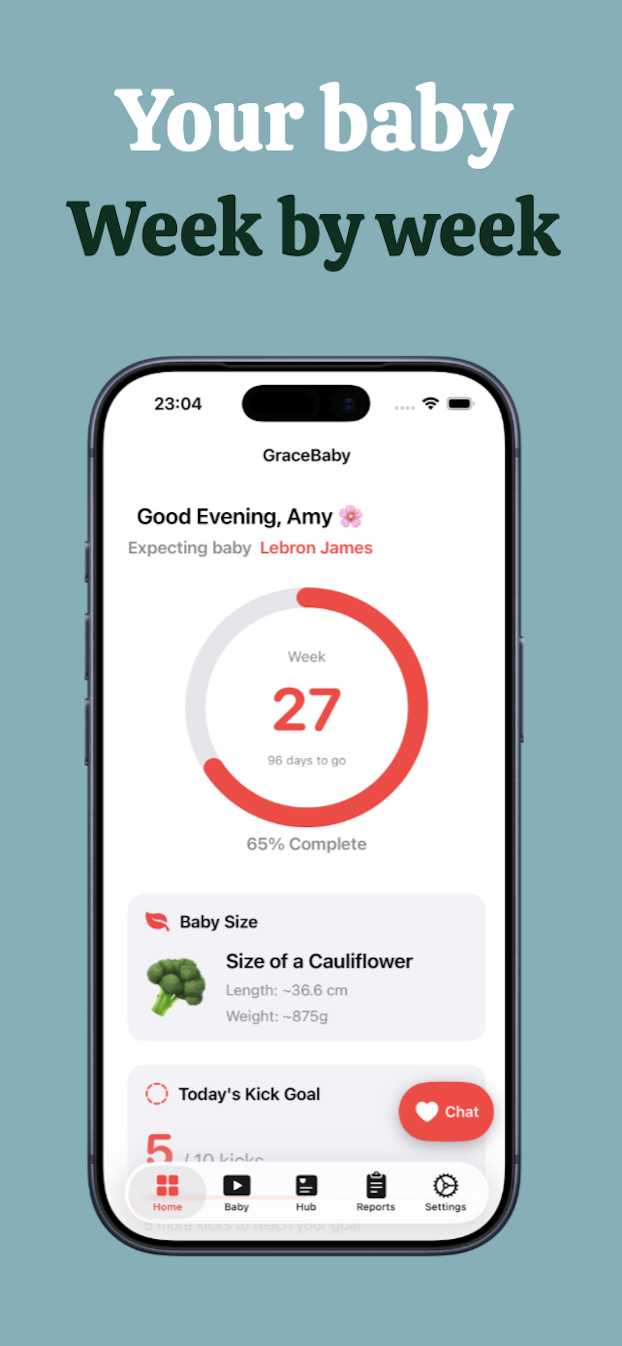 Track Pregnancy - GraceBaby - Main product screenshot demonstrating key features and user interface