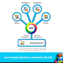 ACE gallery image