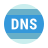 ForceDNS for Windows