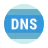 ForceDNS for Windows