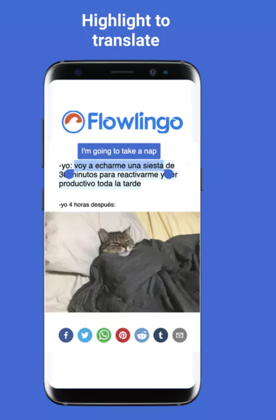 Flowlingo Image