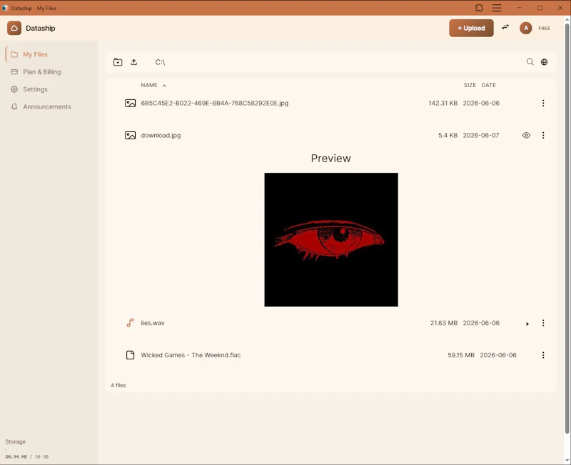 Dataship screenshot 3