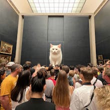 More Cats gallery image