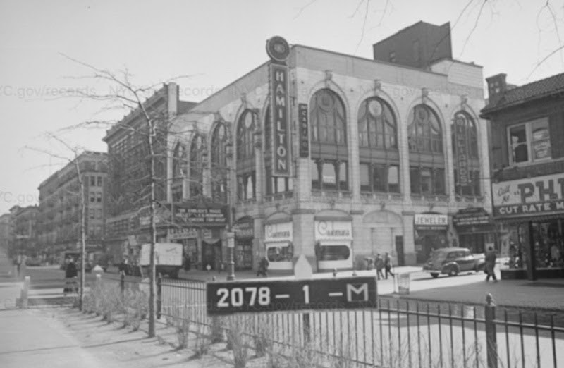 hedonesiano gallery image