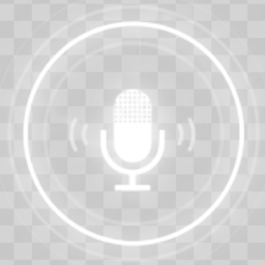 TestMic.Online