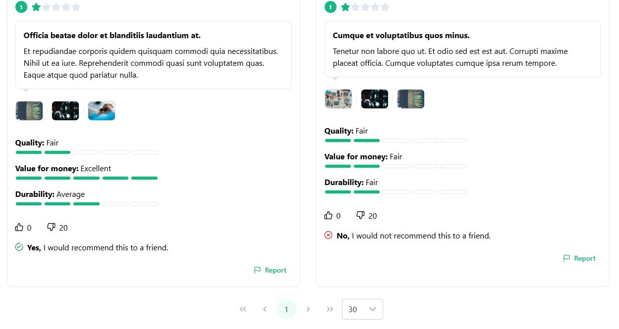 TrueReviewer  gallery image