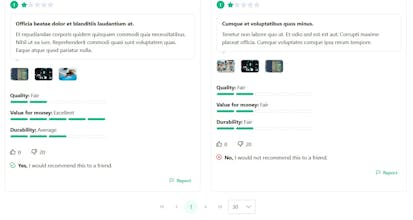 TrueReviewer gallery image