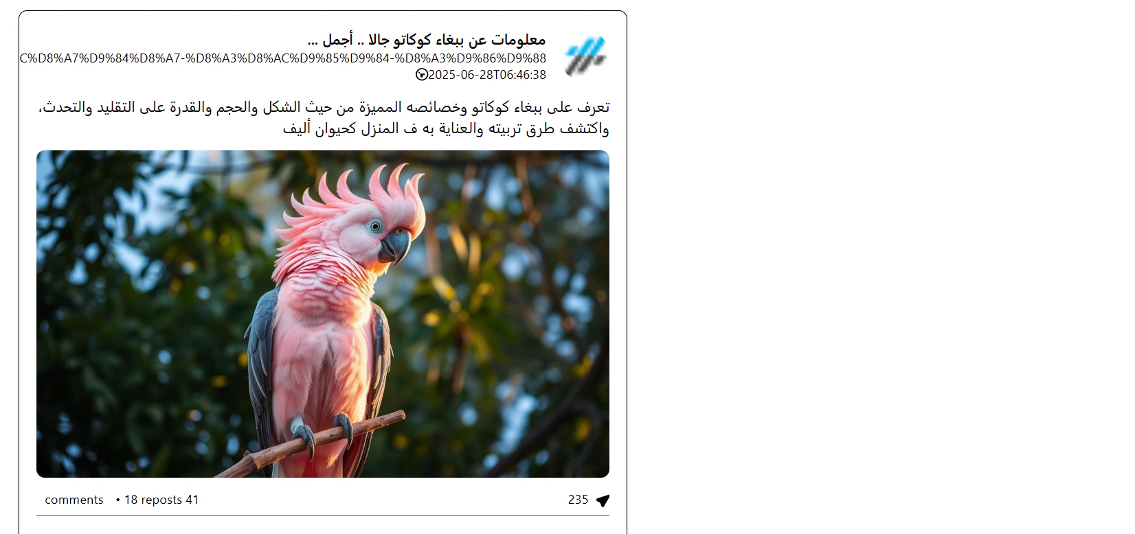 Arabinum screenshot 3