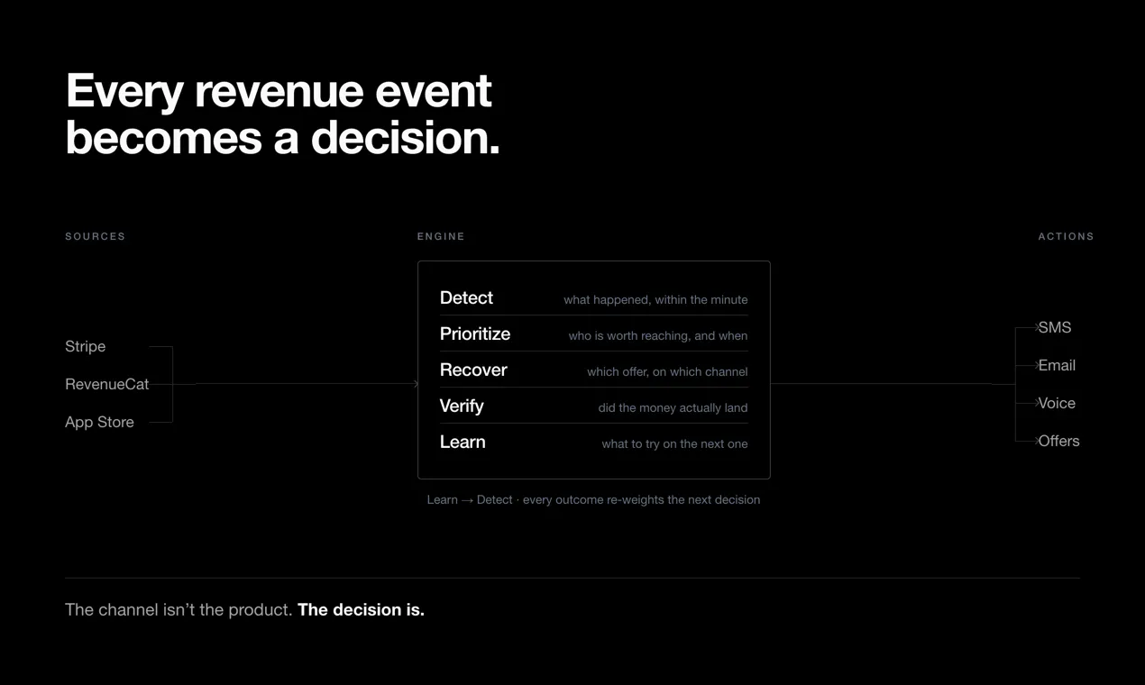 hyzl gallery image