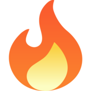 Burnwiser