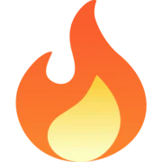Burnwiser