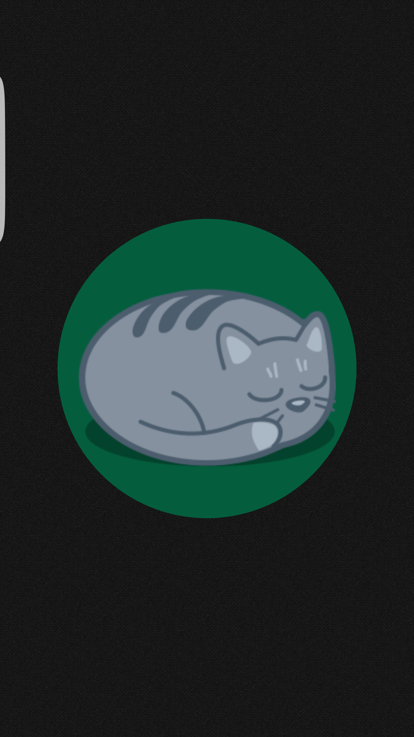 Cat in Phone gallery image