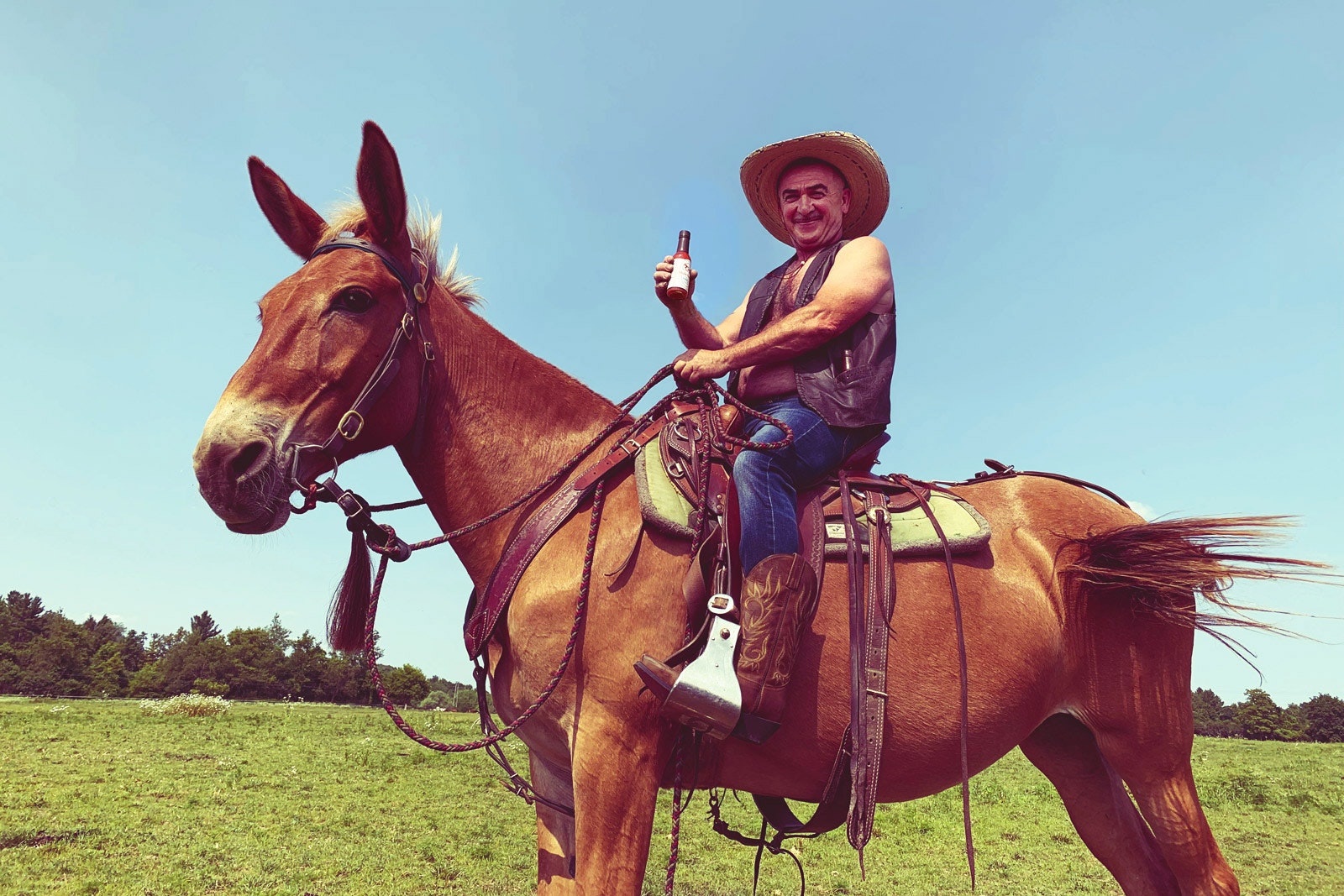 Mule Sauce By Sticker Mule Hot Sauce That Kicks Ass Product Hunt