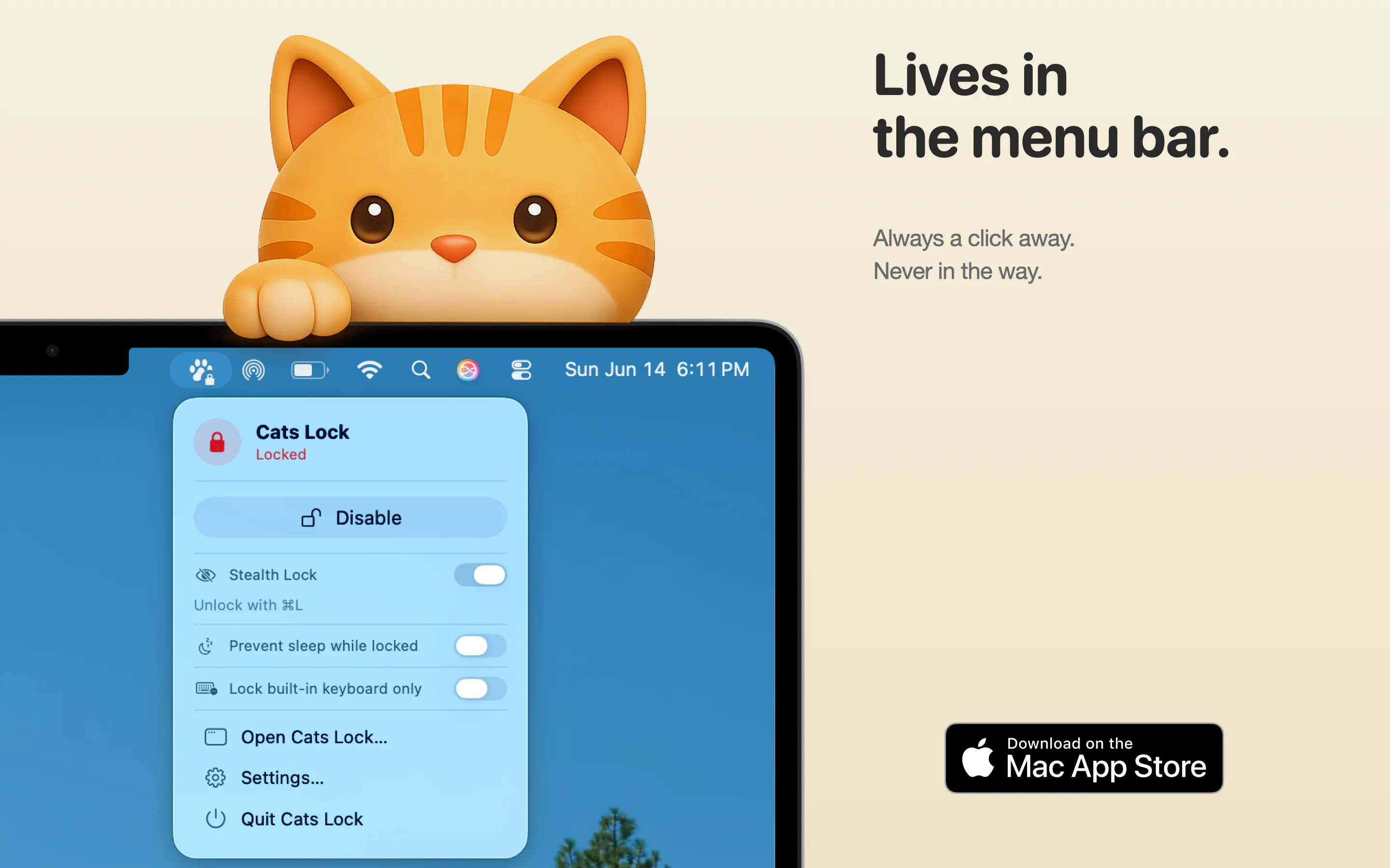 Cats Lock gallery image