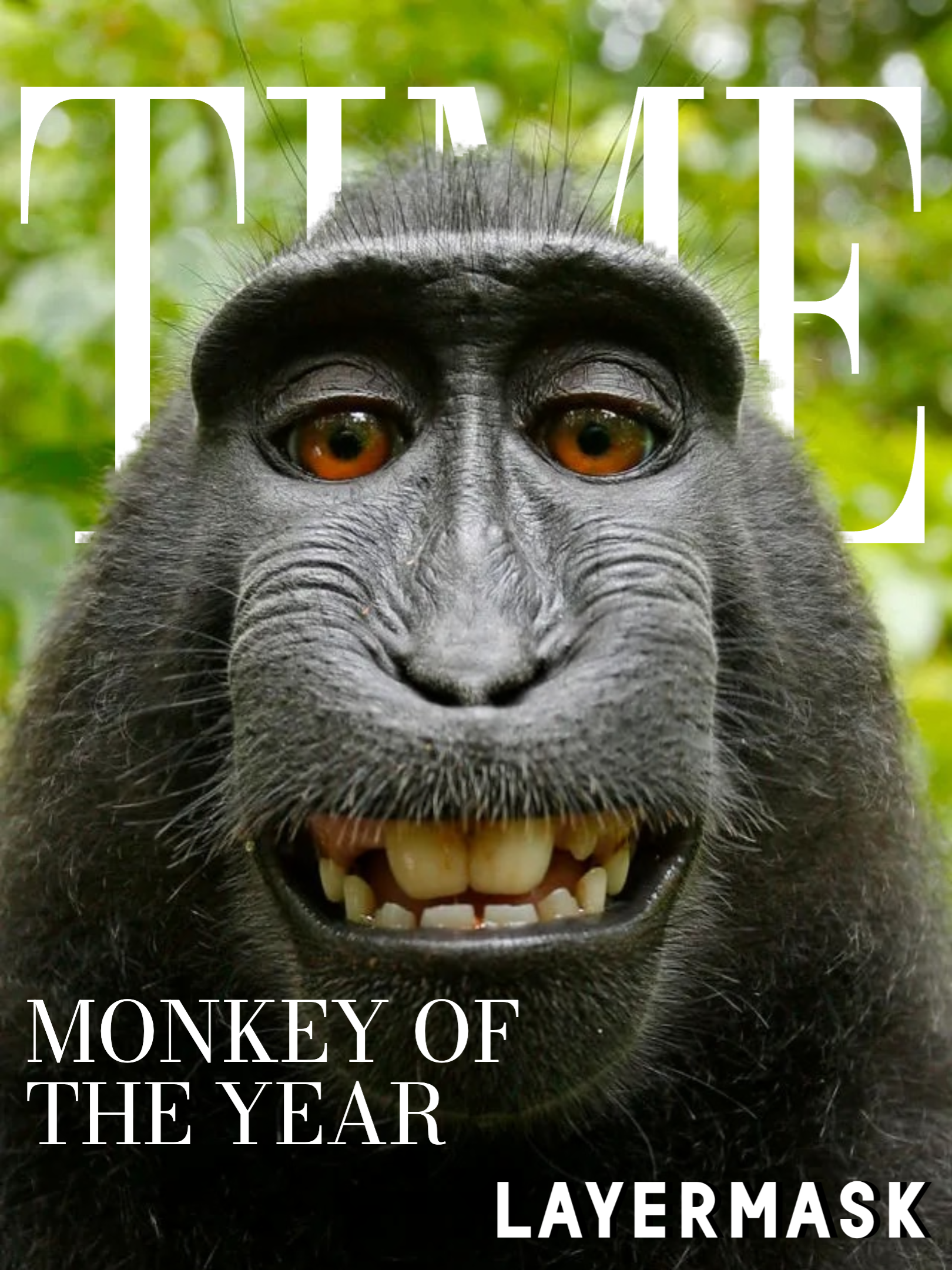 Layermask gallery image