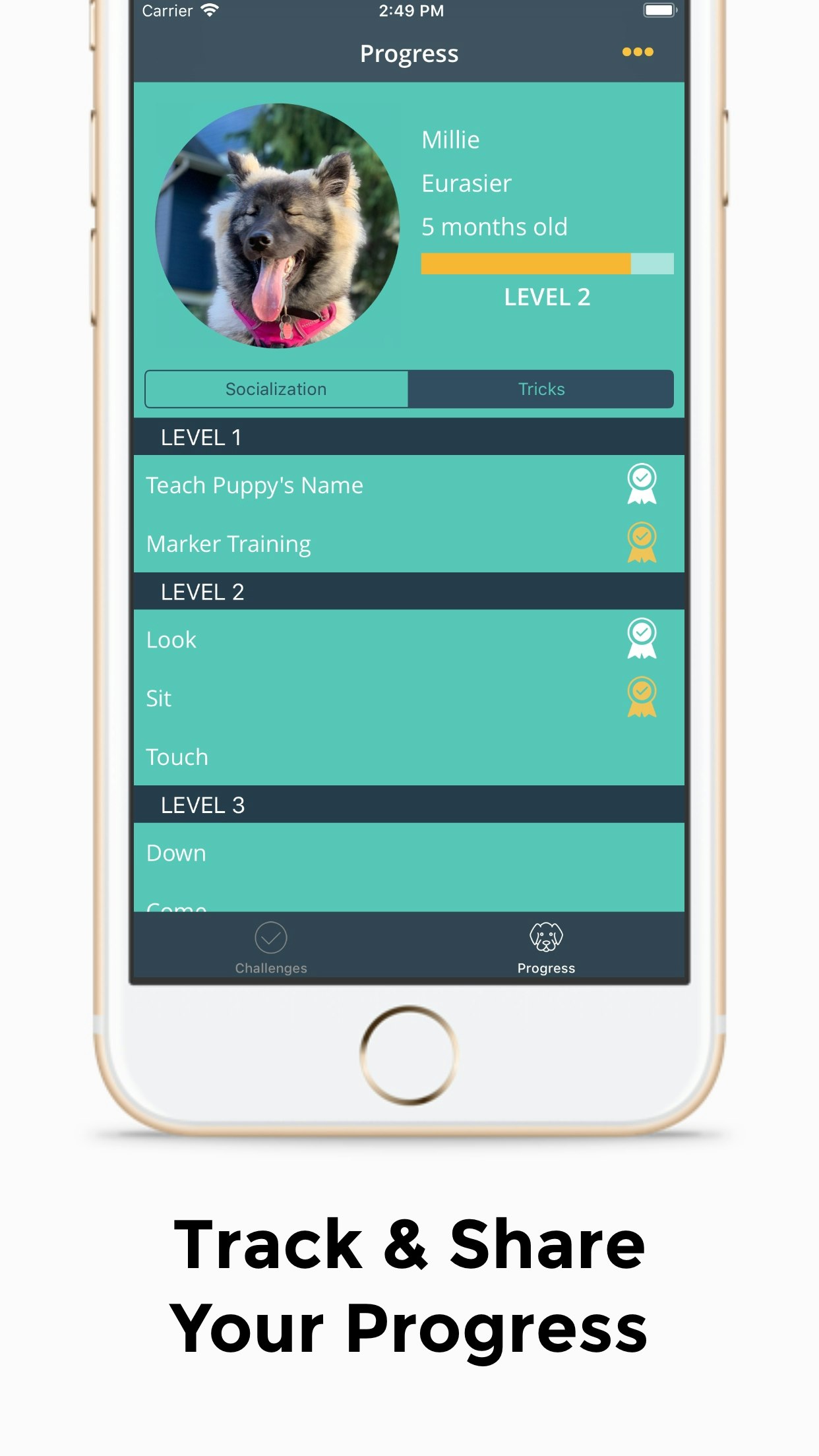 Social Puppy gallery image