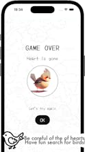 ColorBird Find The Bird Game APP gallery image