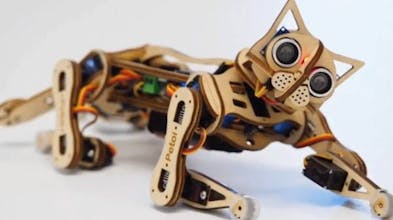 Personal Robots gallery image