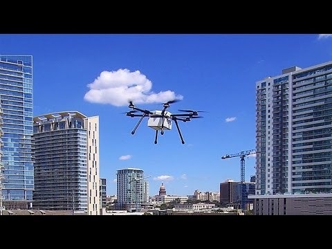 Pegasus gallery image