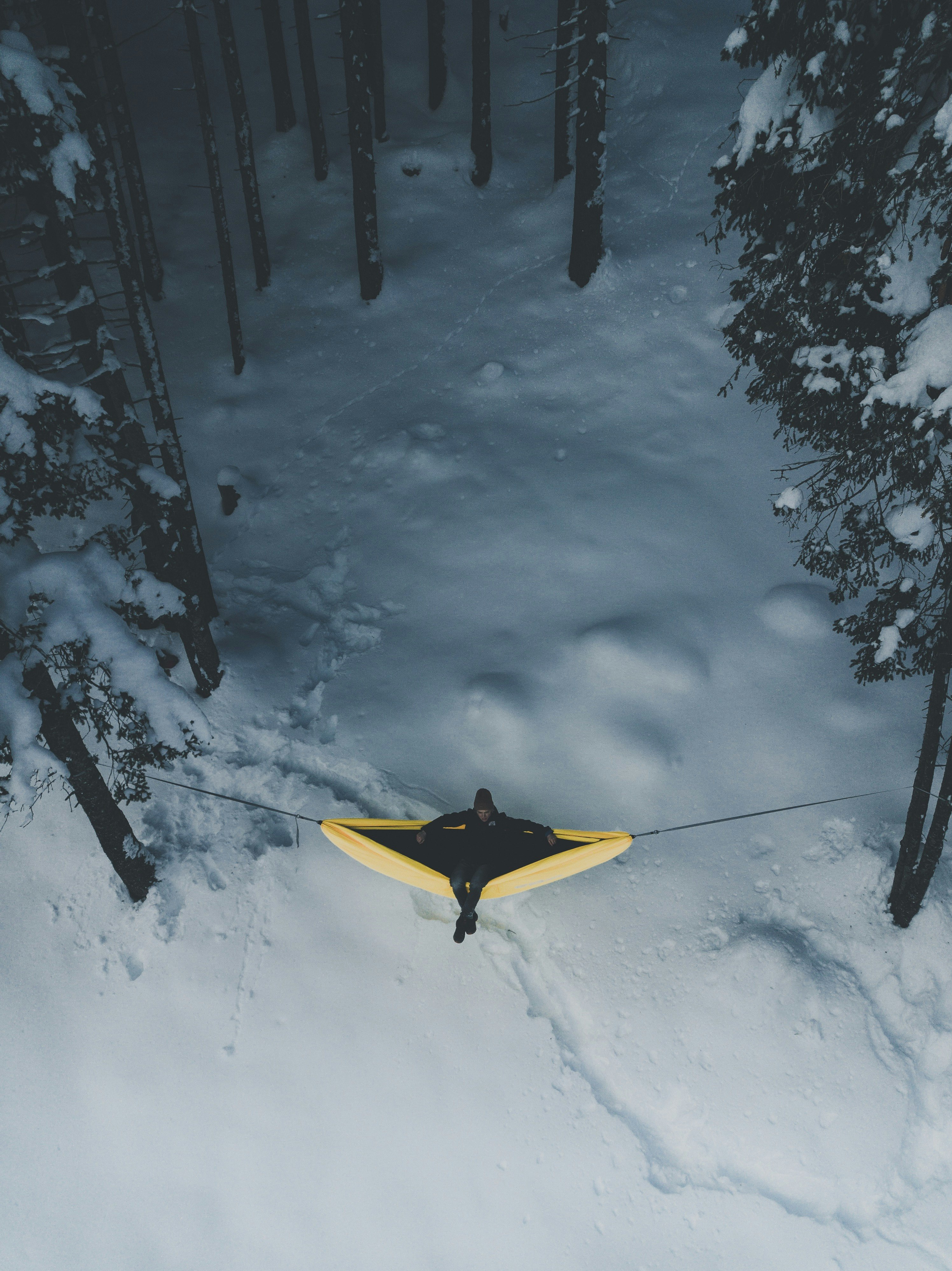 Swayy Premus gallery image