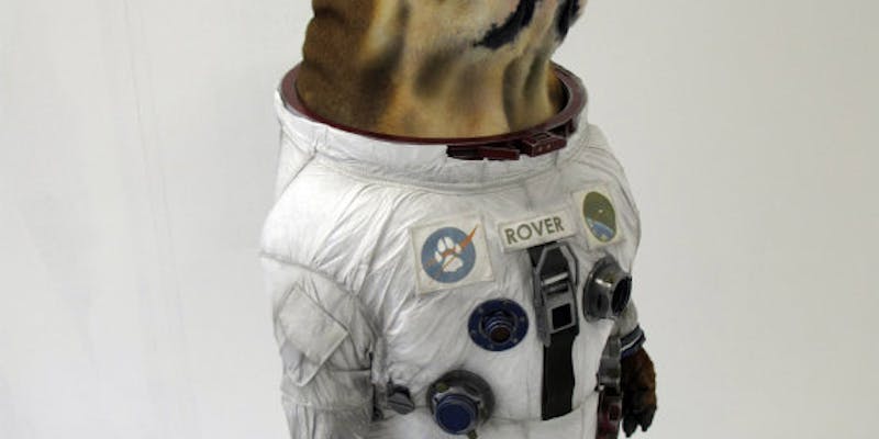 Space Dog Sculpture media 1