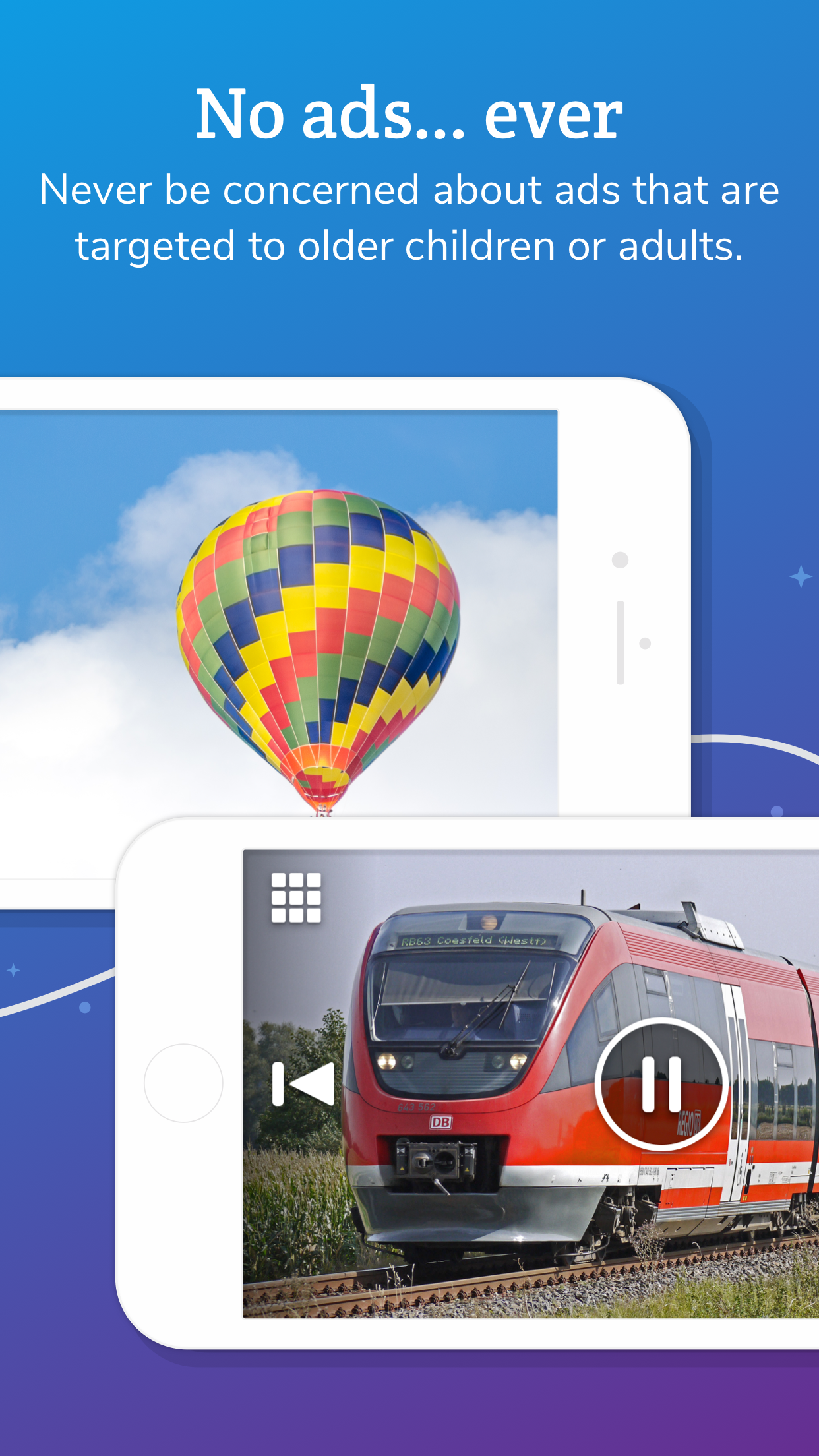 Jellies gallery image