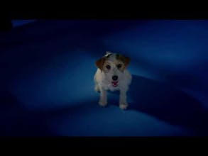 Photolemur 3.0 gallery image