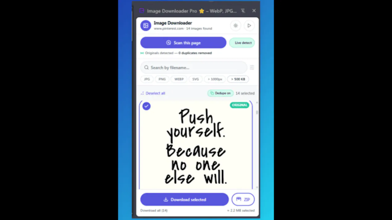 Image Downloader Pro product