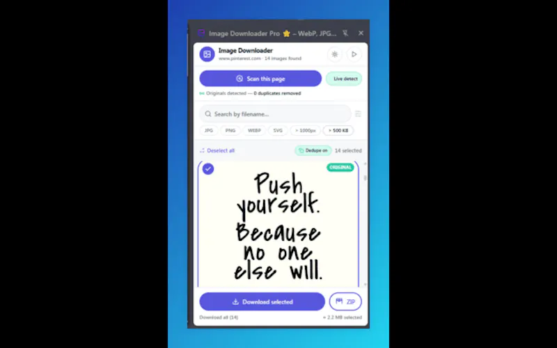 Image Downloader Pro  screenshot 1