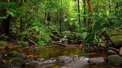 Meditation App gallery image