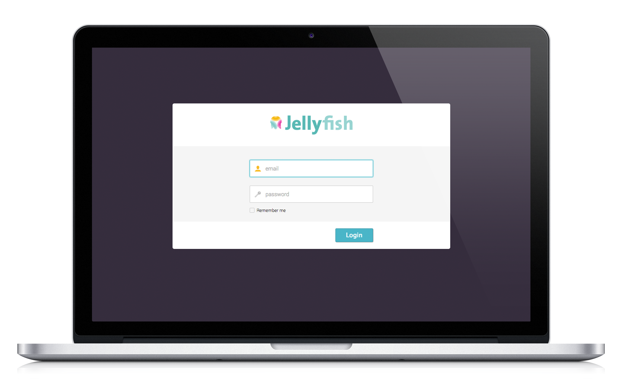 Jellyfish gallery image