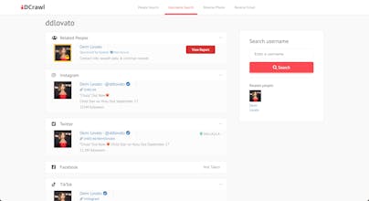 IDCrawl Username Search gallery image