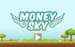 Money Sky media 1