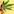 Online CBD Store