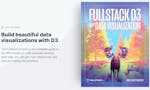 Fullstack D3 and Data Visualization image
