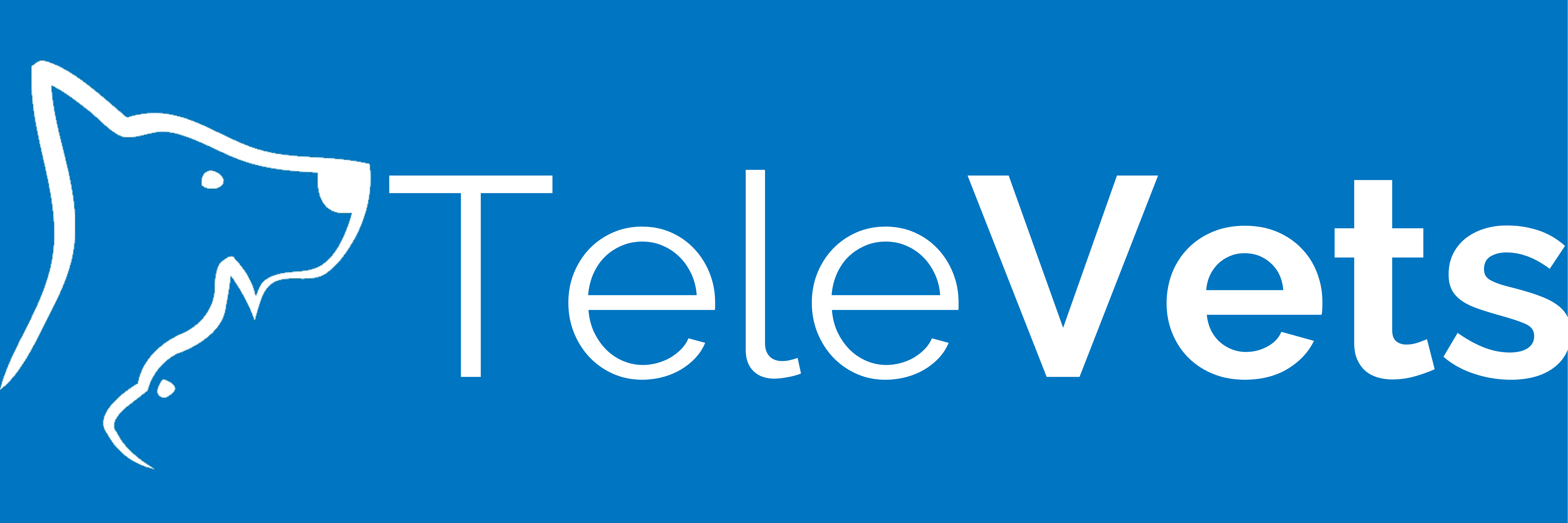 TeleVets gallery image