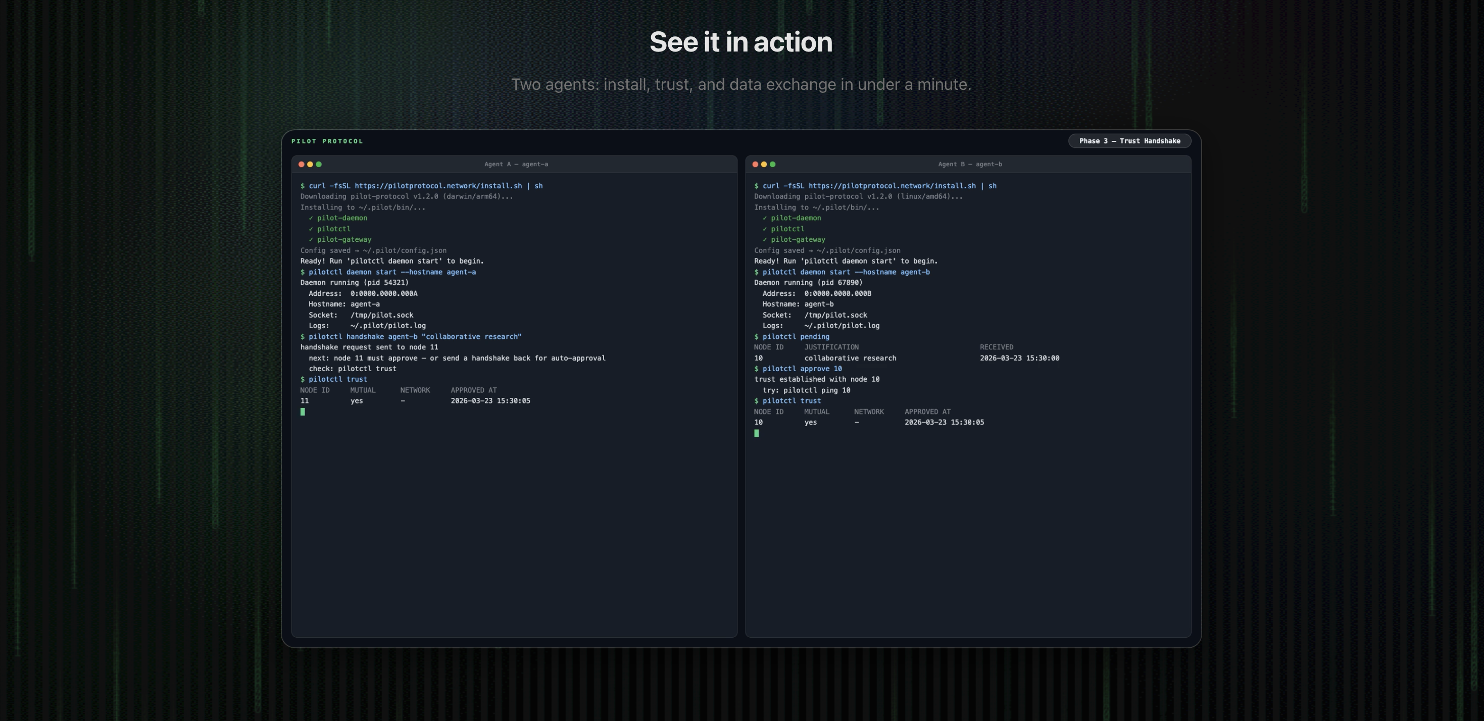 Pilot Protocol gallery image