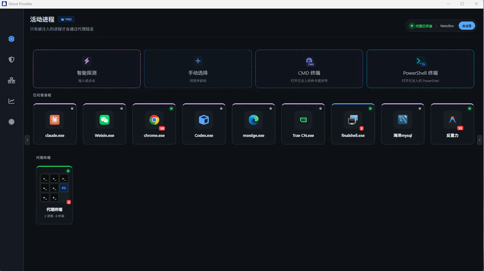 Ghost Proxifier Pro screenshot 2