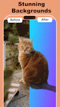 Eazy Editor Mobile App gallery image