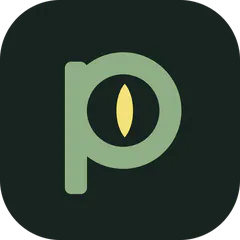Pouncio