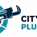 citylocalplumbing.com