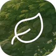 Environmentt