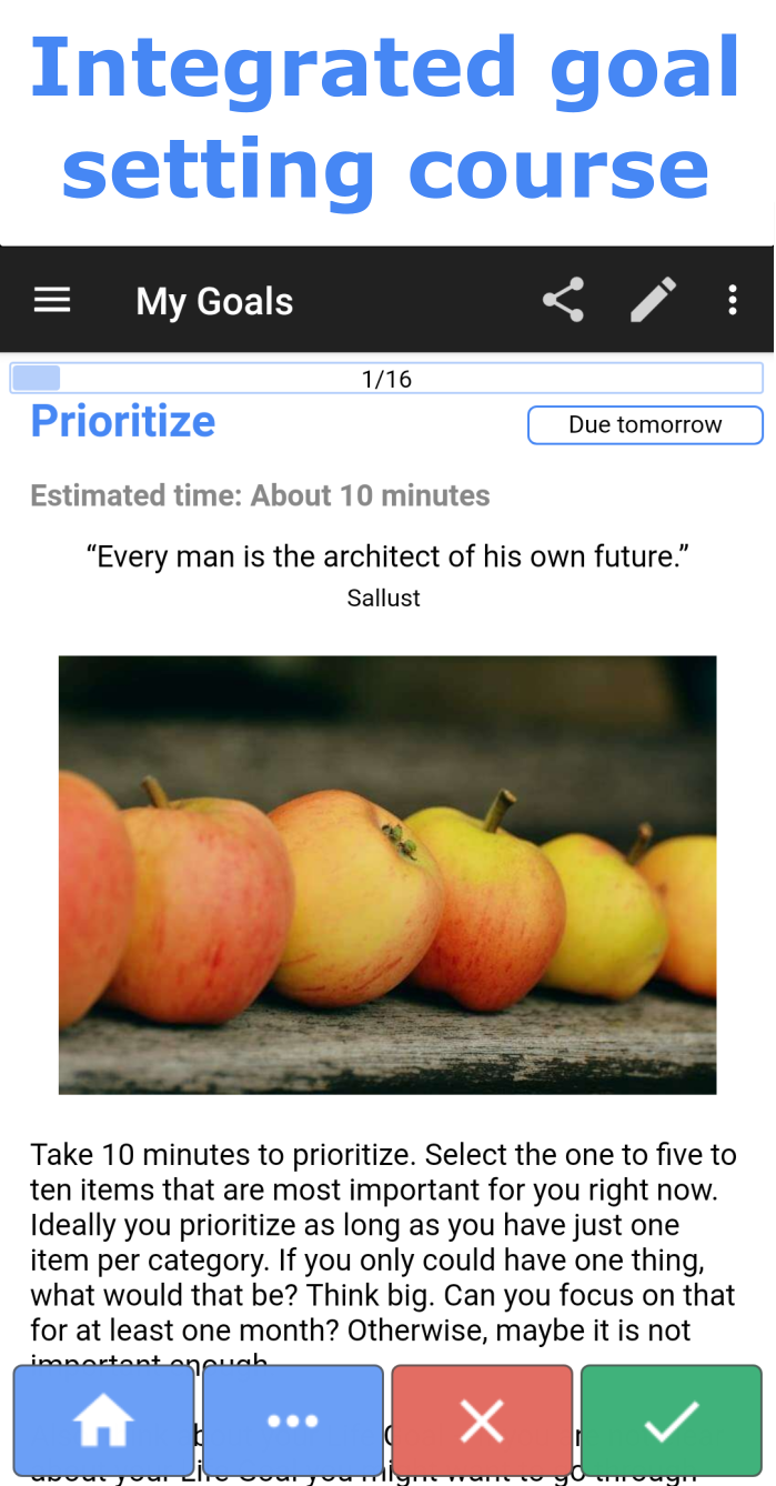 VidaGoals gallery image