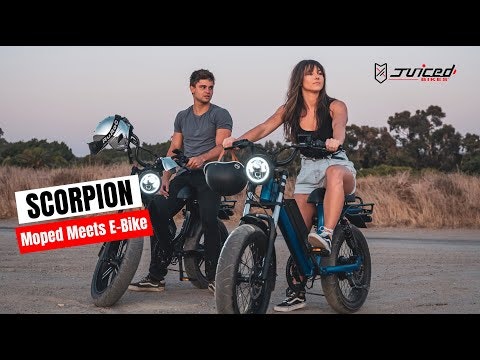 Juiced Scorpion gallery image