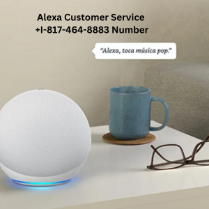 AlexacustomerservicEnumber-817-464-8883 - Alexa Número de servicio al cliente 1-817-464-8883 EE. UU./Canadá media 1