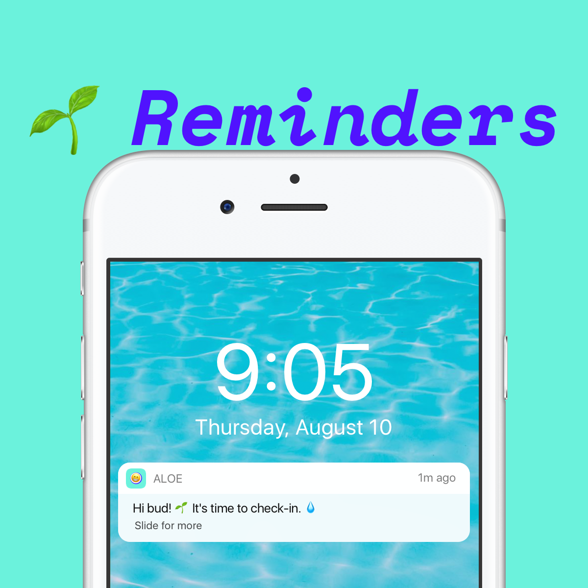 Aloe App gallery image