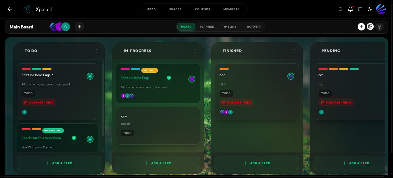 XPACED gallery image