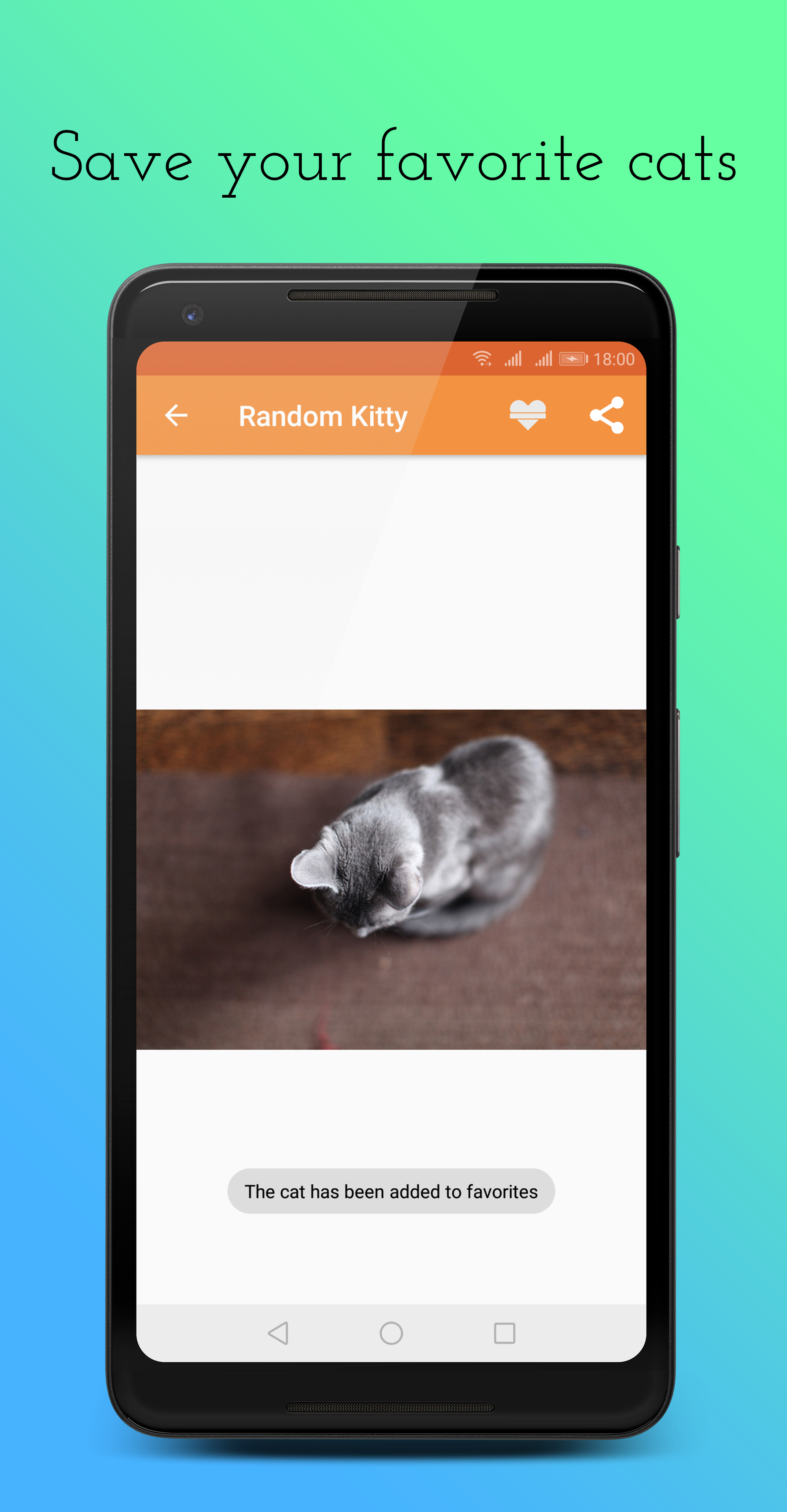 Random Kitty gallery image