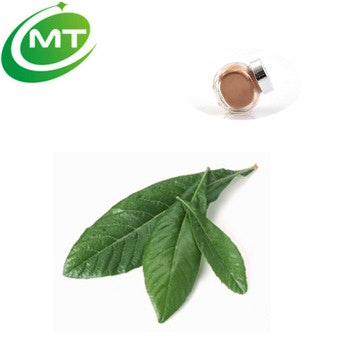 Car MP3 Player Bluetooth FM transmitter Makers Product Hunt