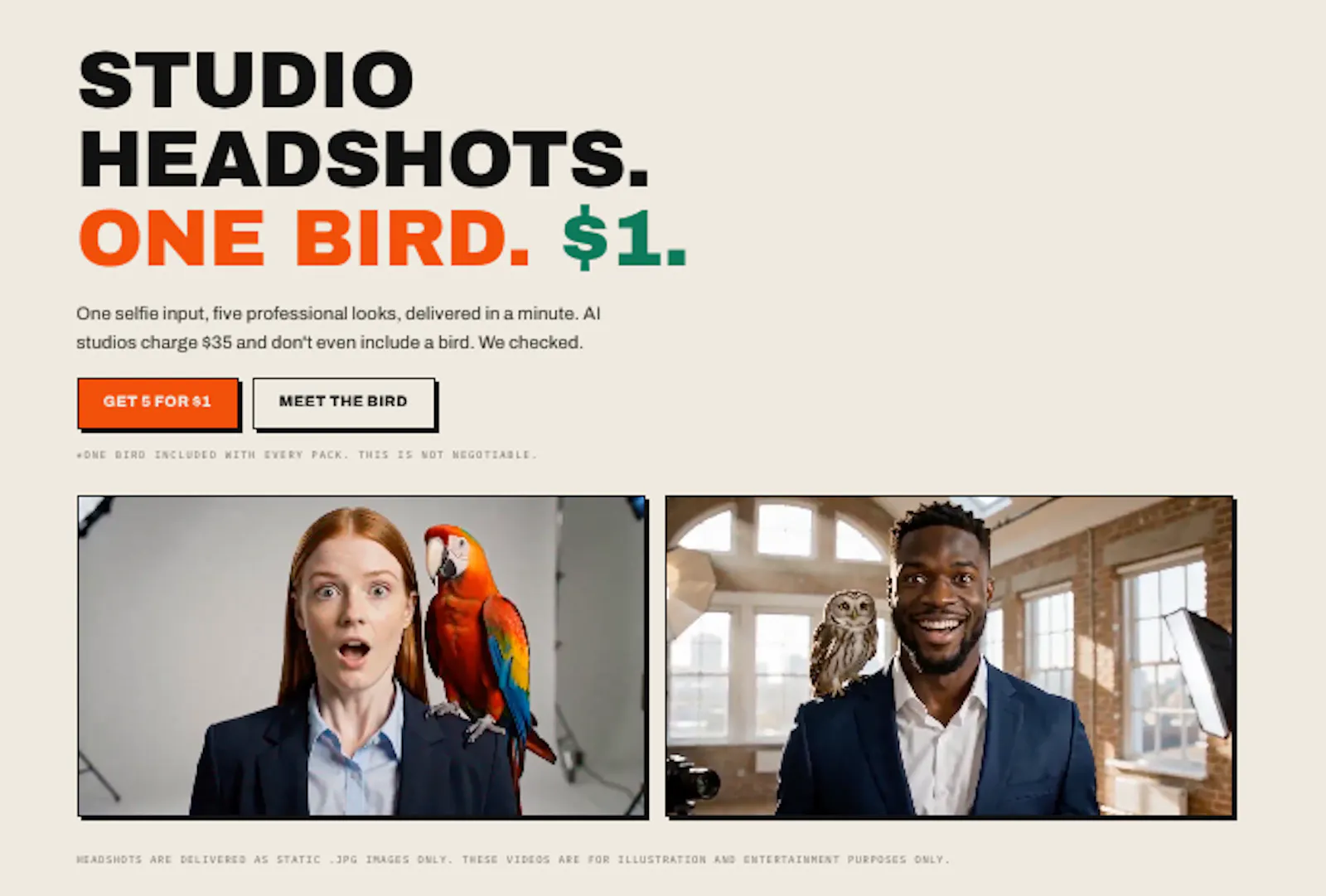 Headshots with a Bird screenshot 1